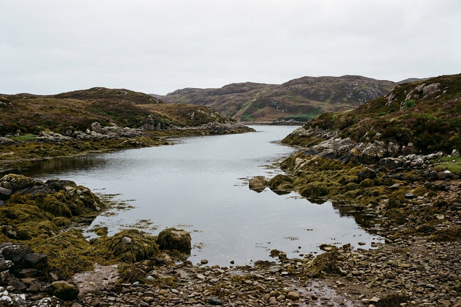Dark volcanic sea cliffs above open water.